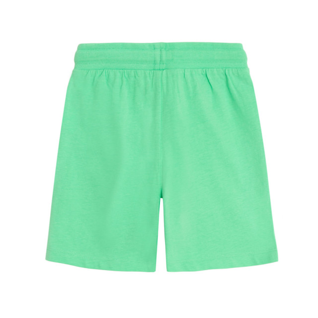 Шорти, цвят: Зелен