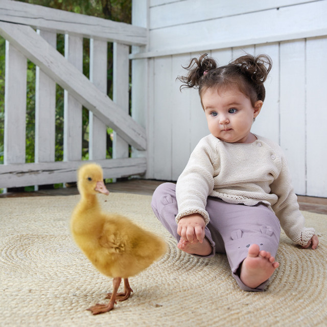 Ританки, цвят: Светло виолетов