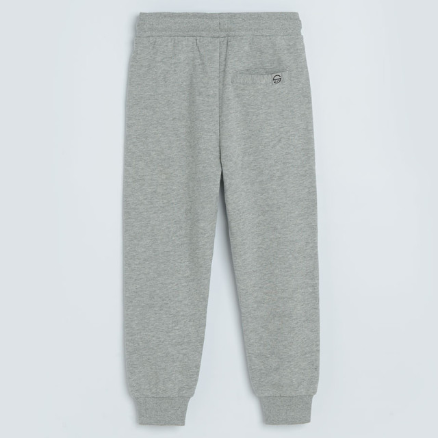 Спортен панталон, цвят: Сив меланж