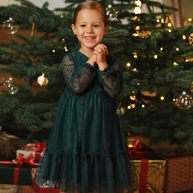 Рокля с дълъг ръкав, цвят: Зелен