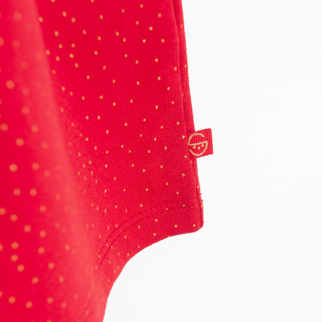 Рокля с дълъг ръкав, цвят: Червен