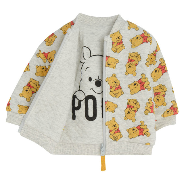 Блуза с дълъг ръкав WINNIE THE POOH, цвят: Сив меланж