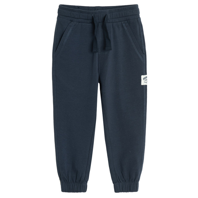 Спортен панталон, цвят: Син