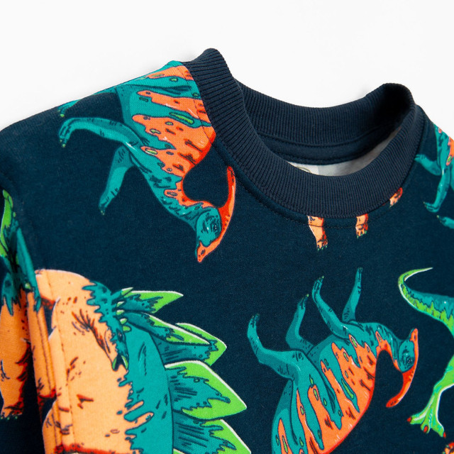 Блуза с дълъг ръкав, цвят: Син