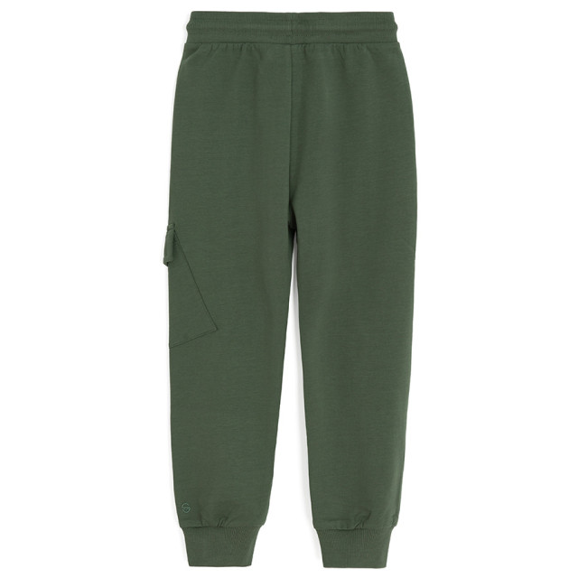 Спортен панталон, цвят: Зелен