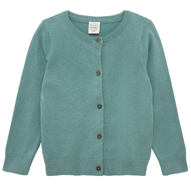 Жилетка, цвят: Зелен