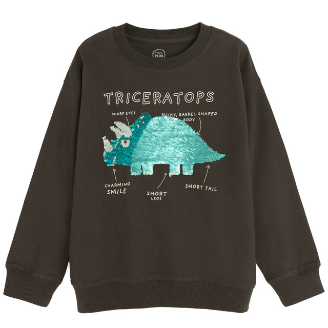 Блуза с дълъг ръкав, цвят: Кафяв