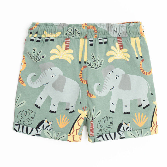 Шорти, цвят: Зелен