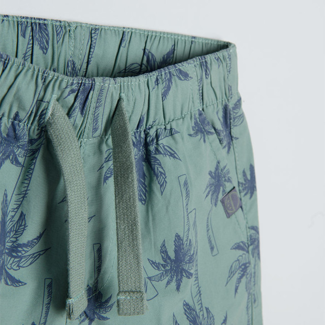 Шорти, цвят: Зелен