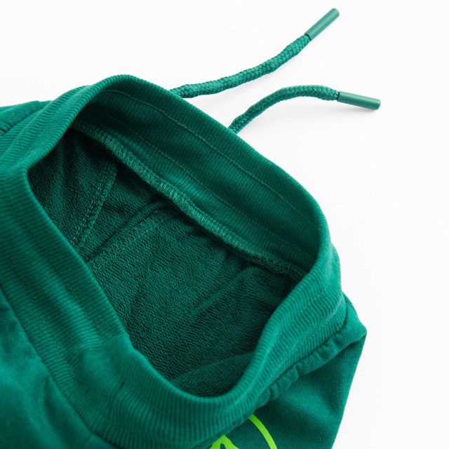 Спортен панталон JURASSIC WORLD, цвят: Зелен