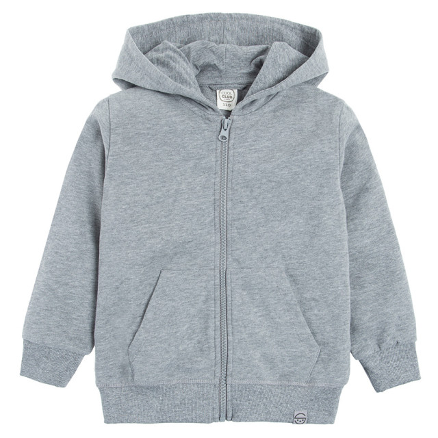 Суитчър, цвят: Сив меланж