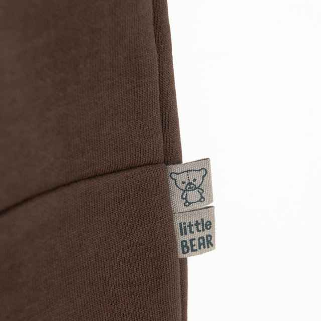 Спортен панталон, цвят: Кафяв