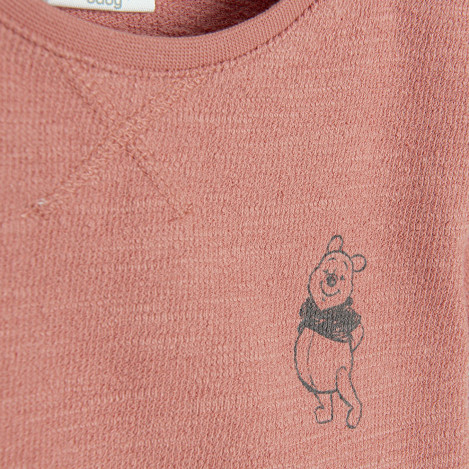 Тениска с къс ръкав WINNIE THE POOH, цвят: Кафяв