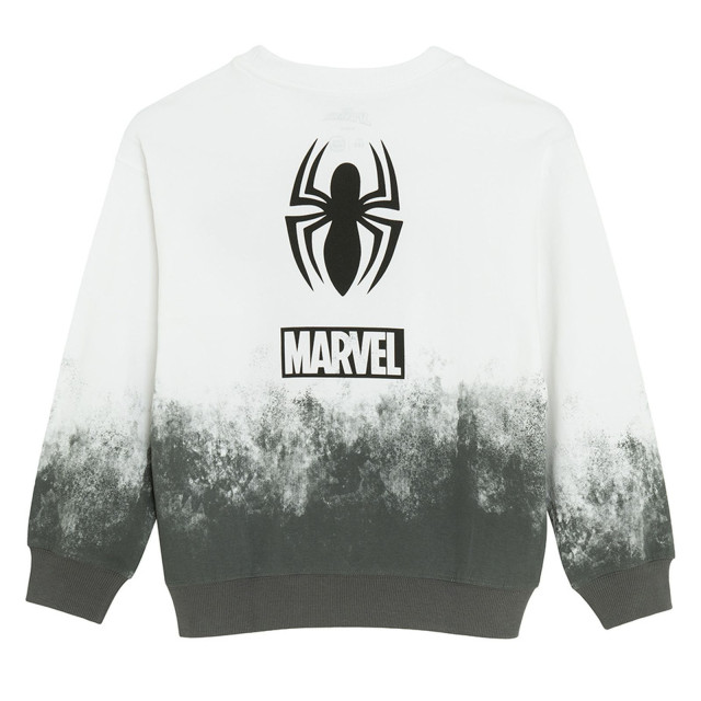 Блуза с дълъг ръкав SPIDER-MAN, цвят: Бял