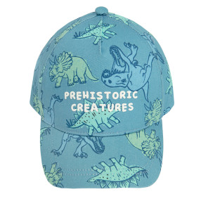 Шапка, цвят: Син