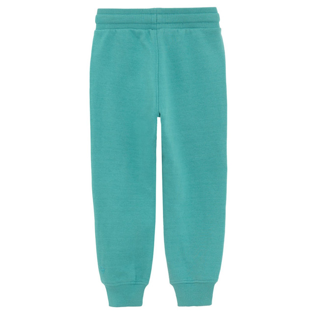 Спортен панталон, цвят: Тюркоазен