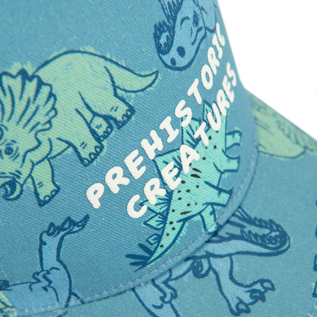 Шапка, цвят: Син