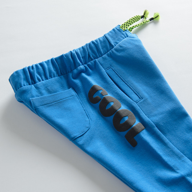 Спортен панталон, цвят: Син