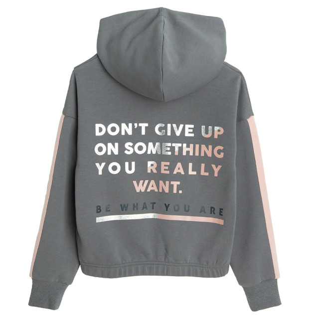 Суитчър, цвят: Тъмно сив