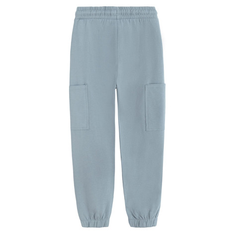 Спортен панталон, цвят: Сив