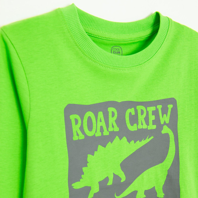 Тениска с дълъг ръкав, цвят: Зелен