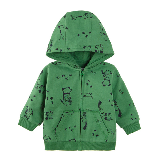 Суитчър, цвят: Зелен