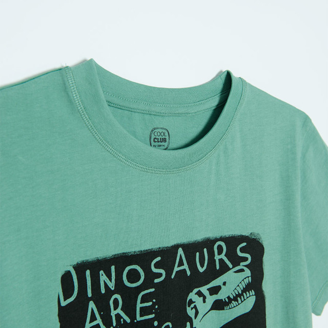 Тениска с къс ръкав, цвят: Зелен