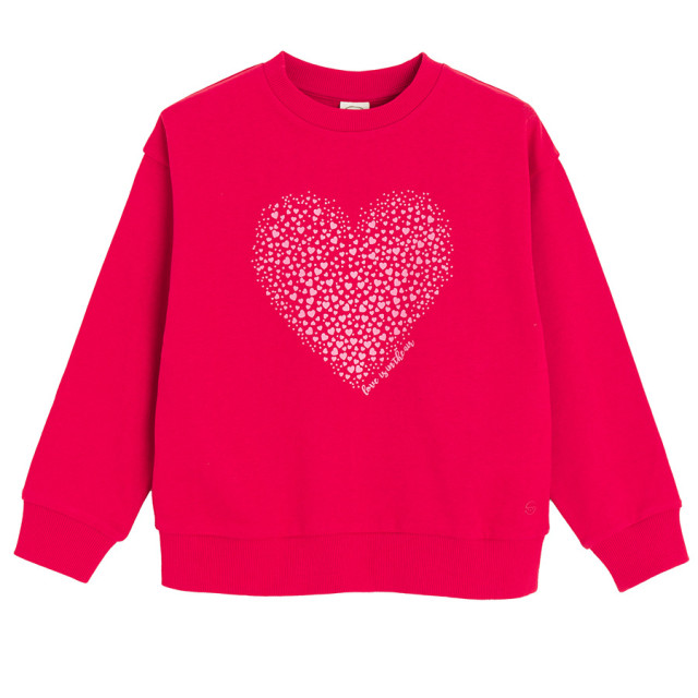 Блуза с дълъг ръкав, цвят: Червен