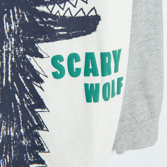 Блуза с дълъг ръкав, цвят: Микс