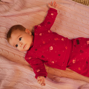 Камизолка с дълъг ръкав, цвят: Червен