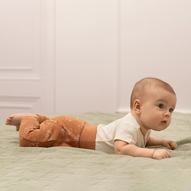 Ританки 2бр., цвят: Микс