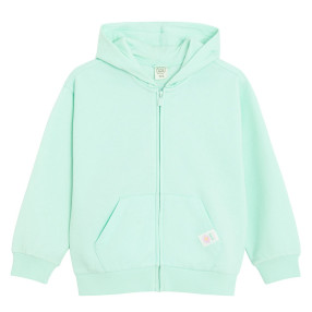 Суитчър, цвят: Зелен