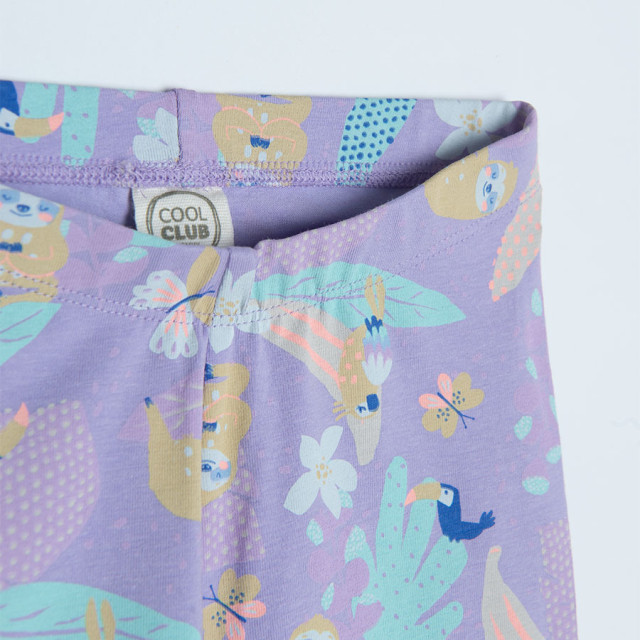 Клин, цвят: Виолетов