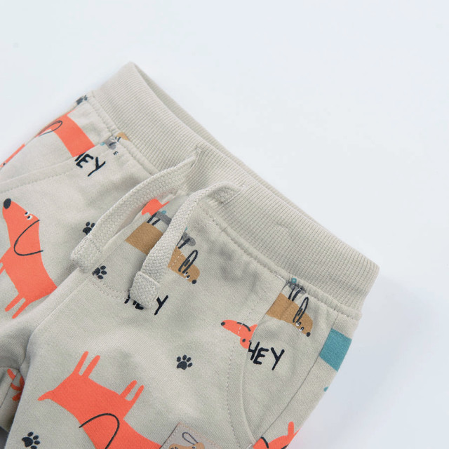 Спортен панталон, цвят: Сив