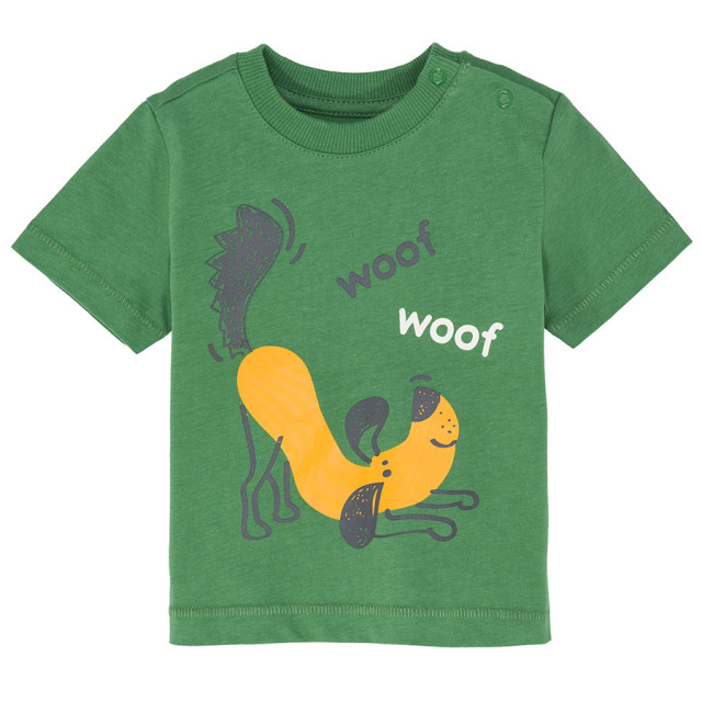 Тениска с къс ръкав, цвят: Зелен