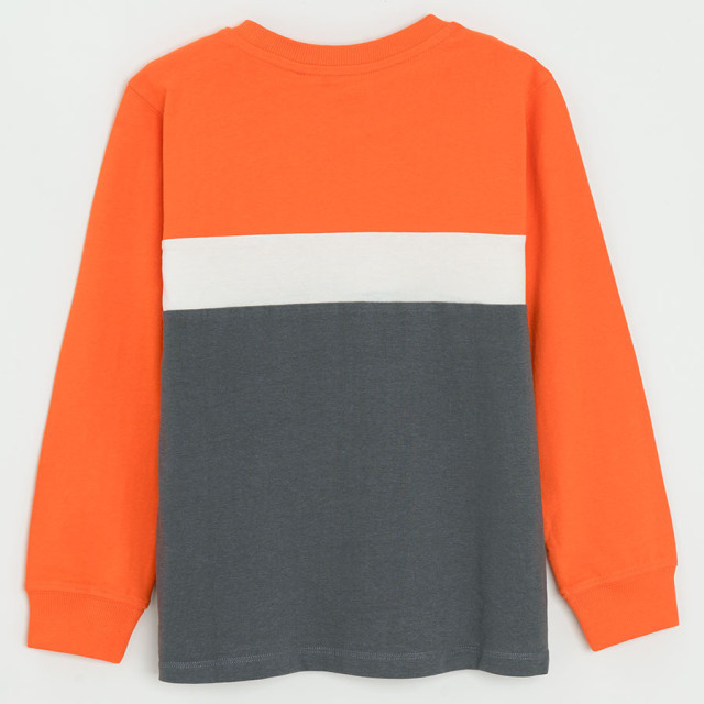 Блуза с дълъг ръкав, цвят: Микс