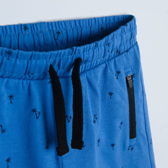 Шорти, цвят: Син