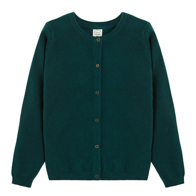 Жилетка, цвят: Тъмно зелен