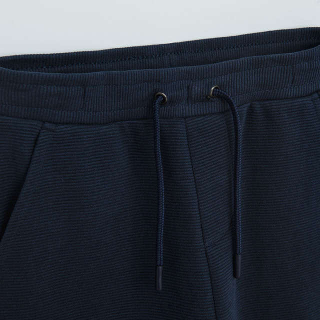 Спортен панталон, цвят: Морско син