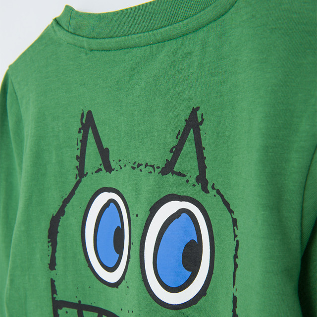 Тениска с дълъг ръкав, цвят: Зелен