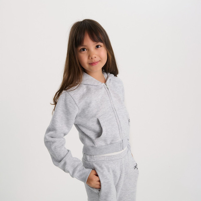 Суитчър, цвят: Сив