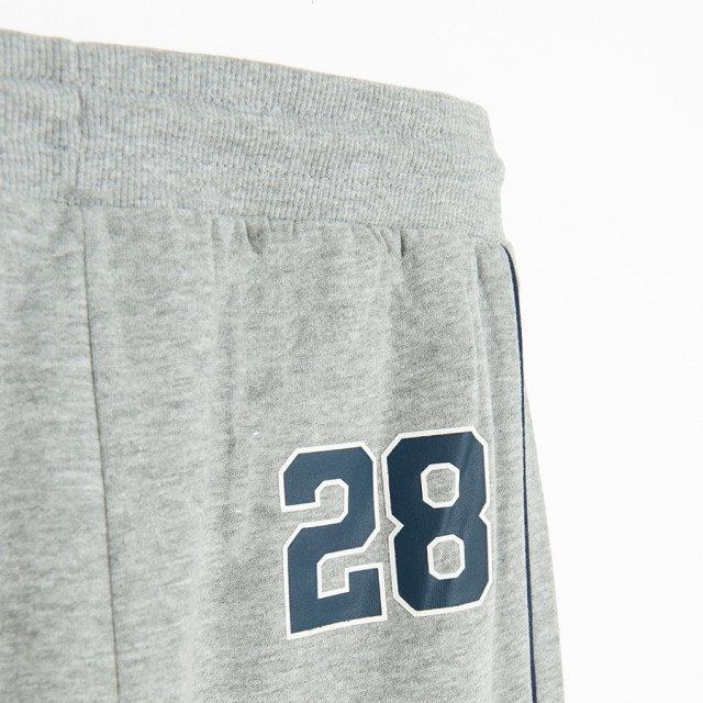 Спортен панталон, цвят: Сив меланж