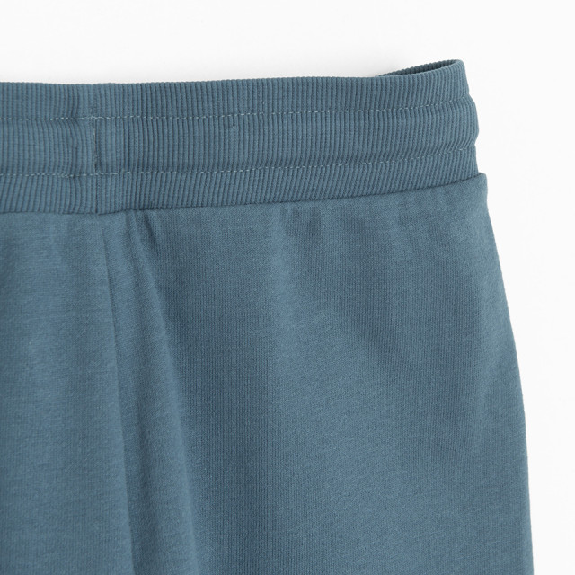 Спортен панталон, цвят: Син