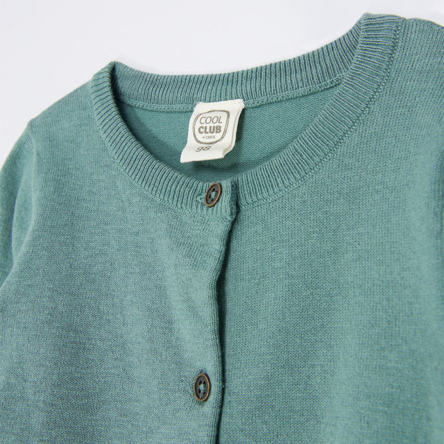 Жилетка, цвят: Зелен