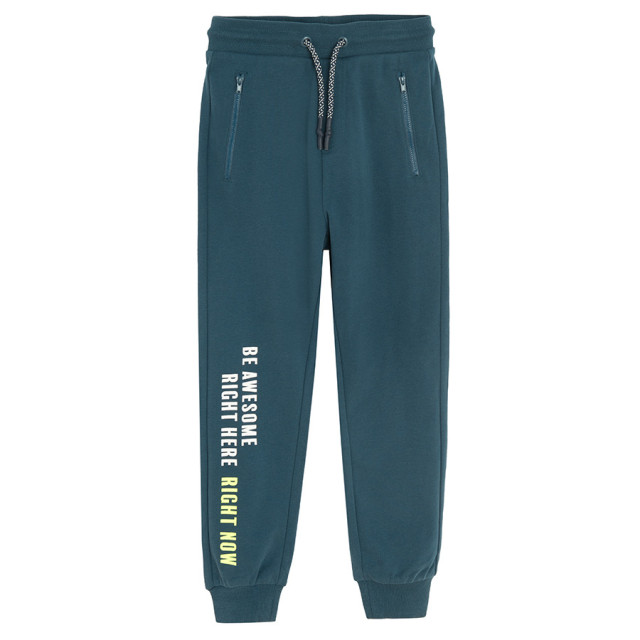 Спортен панталон, цвят: Морско син