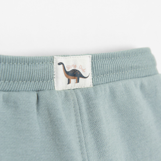 Спортен панталон, цвят: Син