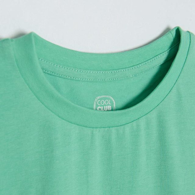 Тениска с къс ръкав, цвят: Зелен