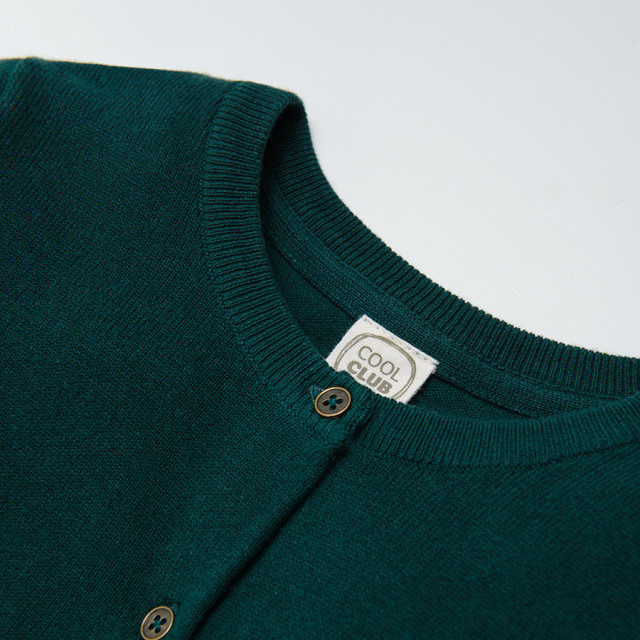 Жилетка, цвят: Тъмно зелен