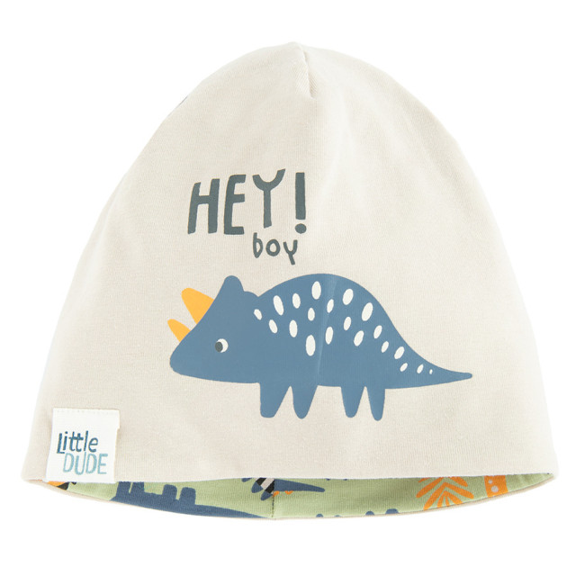 Шапка, цвят: Светло зелен